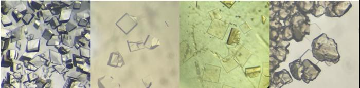 Fig. 2: Crystals