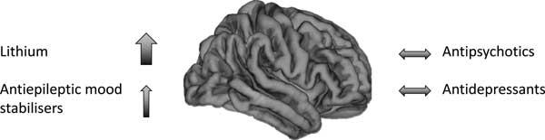 Brain Structural Effects of Psychopharmacological Treatment in Bipolar Disorder