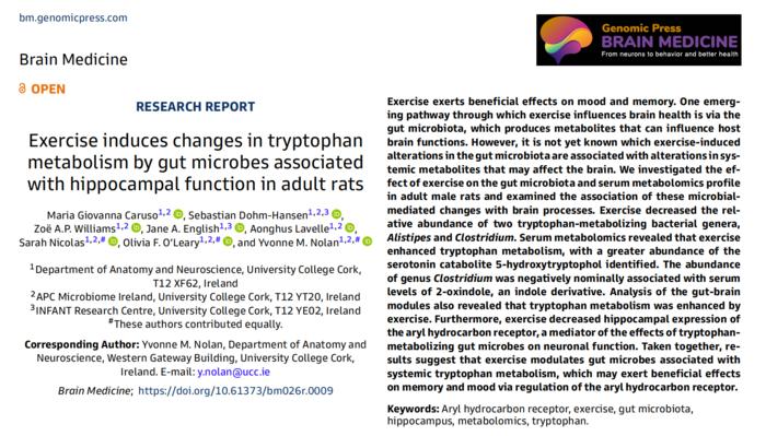 Exercise induces changes in tryptophan metabolism by gut microbes associated with hippocampal function in adult rats