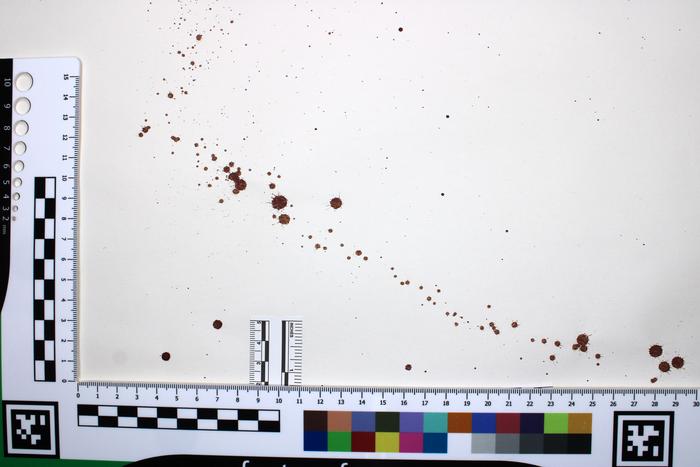 Bloodstain example