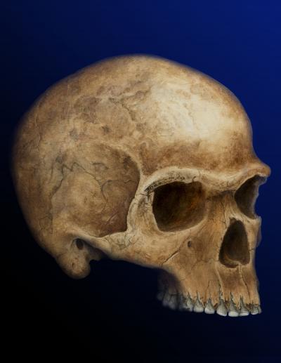 Modern Humans -- Out of Africa, Into Russia