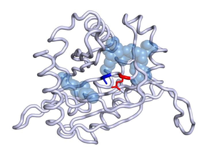 DLST Protein