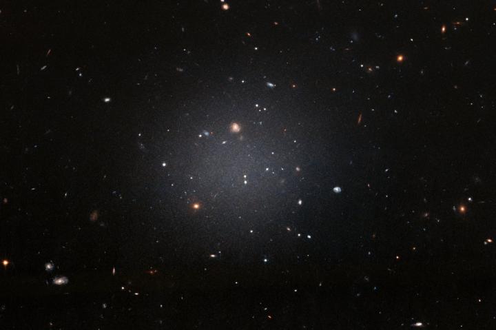 A Ghostly Galaxy Lacking Dark Matter
