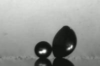 Spore Drops