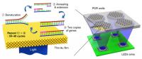 PCR Schematic