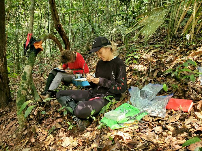 Amazon transpiration fieldwork