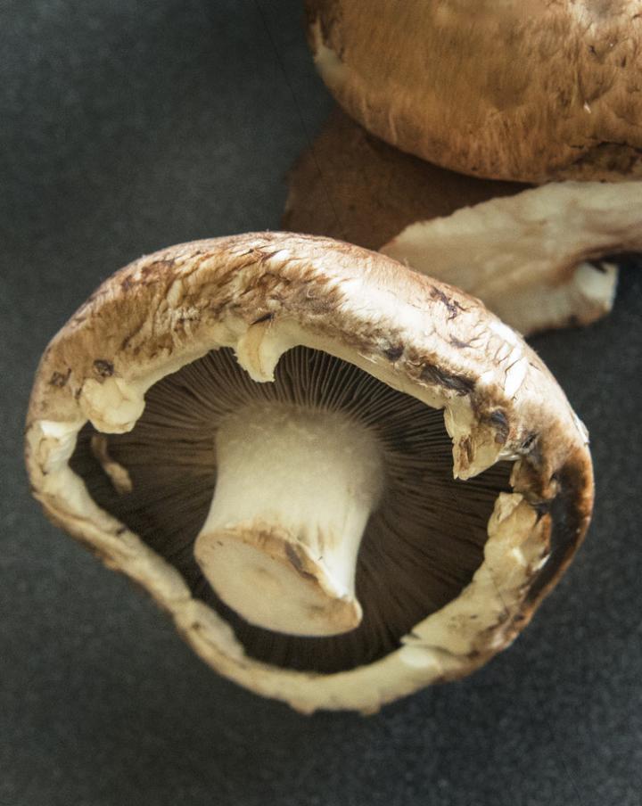 Mushrooms