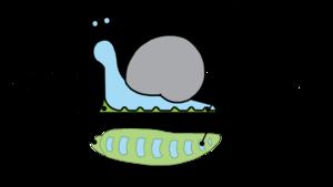 Diagram of snail mechanism
