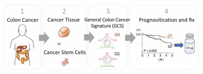 Subtyping colorectal cancer