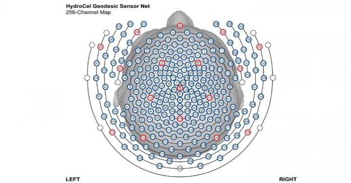 Brainwaves Making Sense