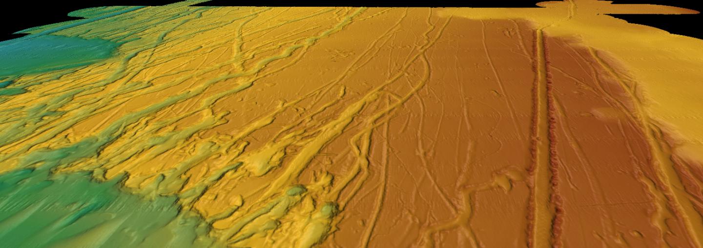 3D Perspective Views of the Seafloor Bathymetry