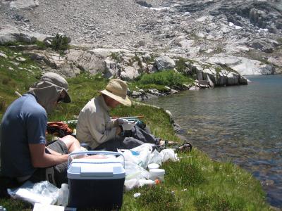 Kings Canyon