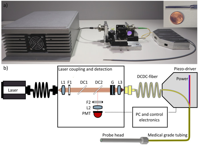 Experimental set-up for multimodal non-linear DCDC fiber scanning CARS/SHG/TPEF endoscopy