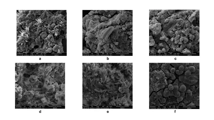 SEM micrographs of geopolymer samples.