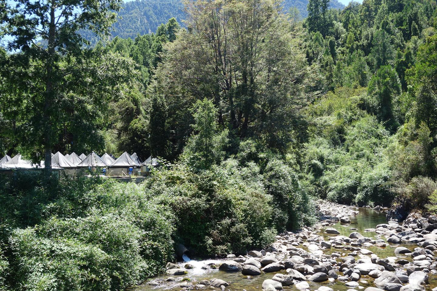 Waste Water 