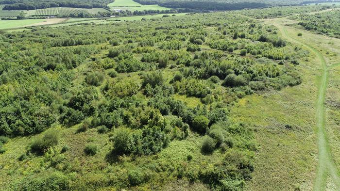 WoodlandCreationHybridAerial