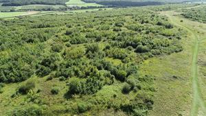 WoodlandCreationHybridAerial