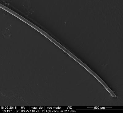 Aboriginal Australian Genome Sequenced (6 of 9)