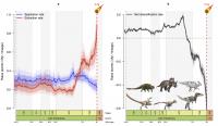 Graphs