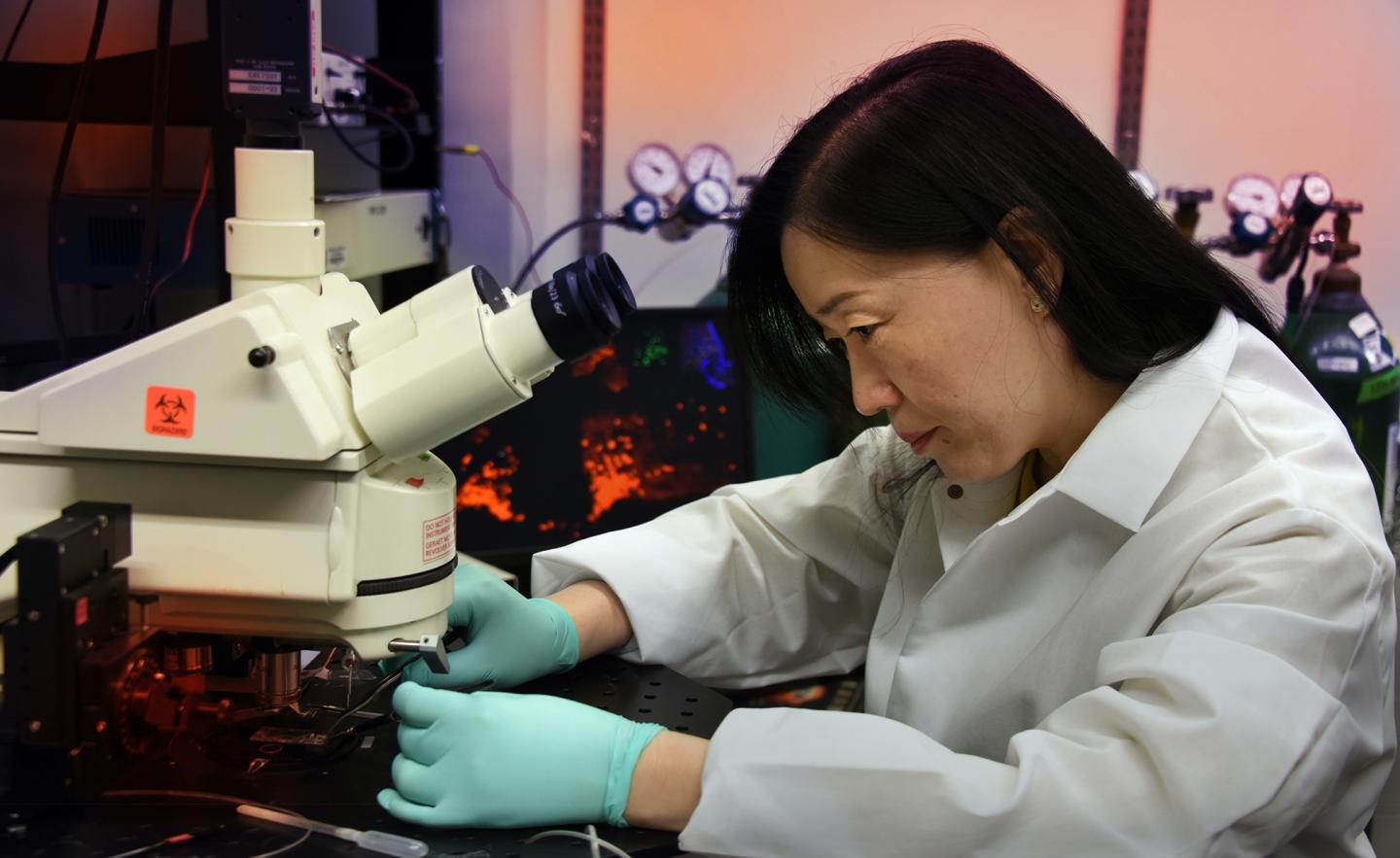 Dr. Xin-Yun Lu