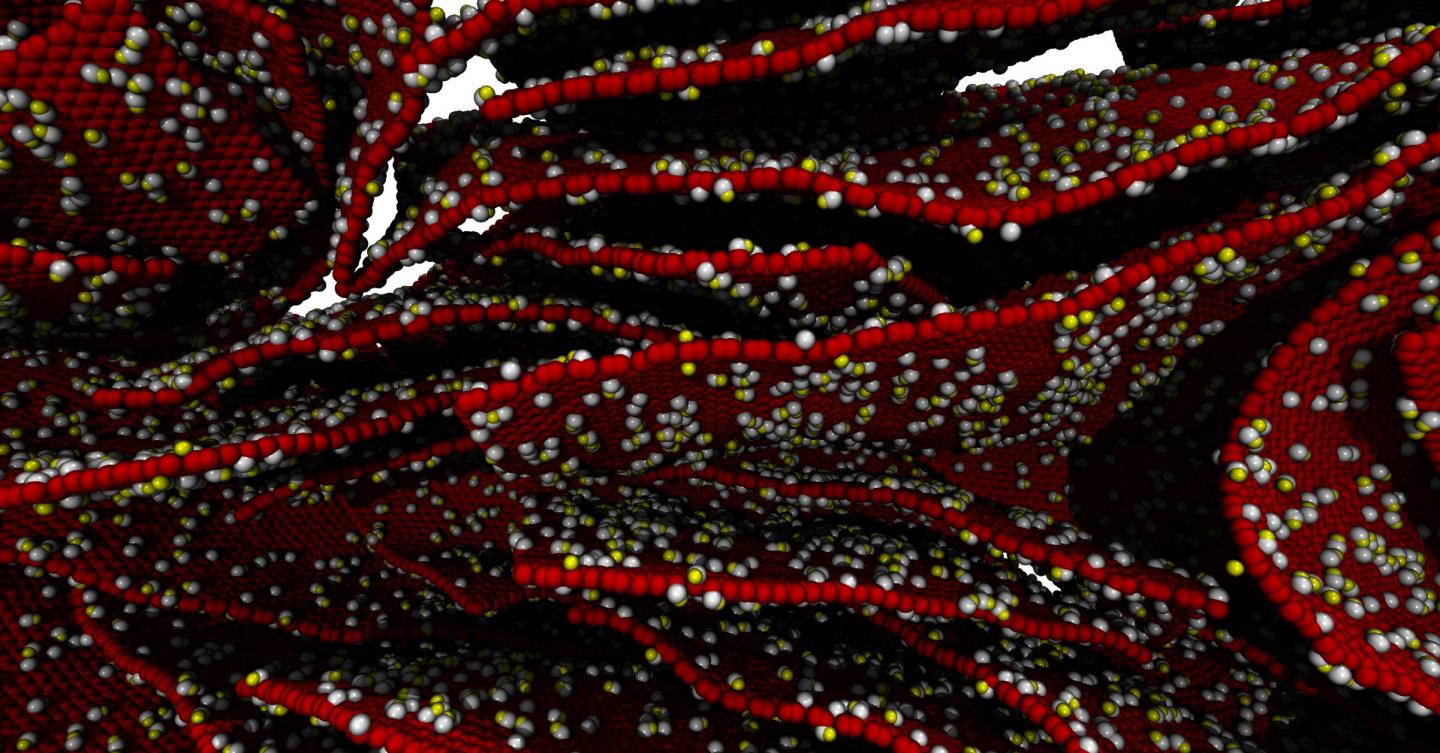 STRAIN 3