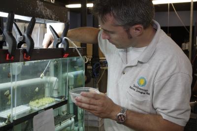 Smithsonian Scientists Working to Save Microscopic Threatened Species (3 of 3)