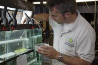 Smithsonian Scientists Working to Save Microscopic Threatened Species (3 of 3)