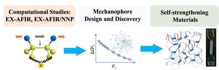 Computational screening process for mechanophore candidates