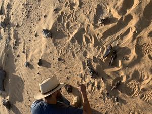 Dan with first Spinosaurus mirabilis bones-Nov 2019