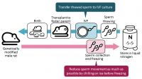 Offspring Production System from Frozen Rat Sperm