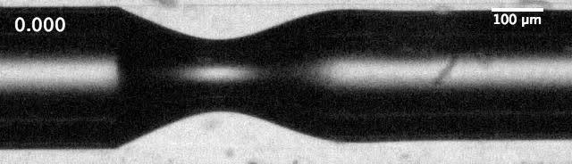Evolution of Neck Shrinkage and Eventual Bubble Pinch-Off in a Capillary Tube