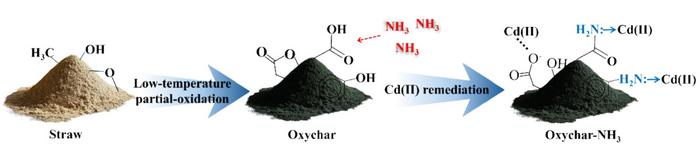 Synergistic adsorption of ammonia and cadmium on oxychar for sustainable remediation of water and soil