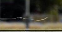 Plastic Begins to Oscillate Spontaneously