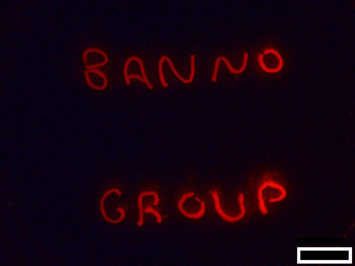 Molecular “Handwriting” with Prototissues