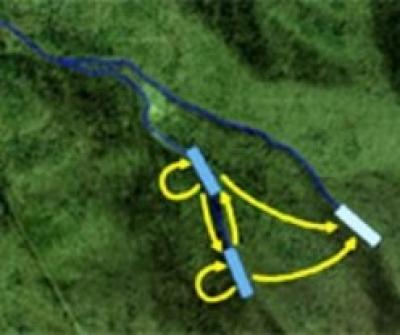 Amphibians on the Move