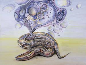 Senescence Uncovered: Worms Show the Way