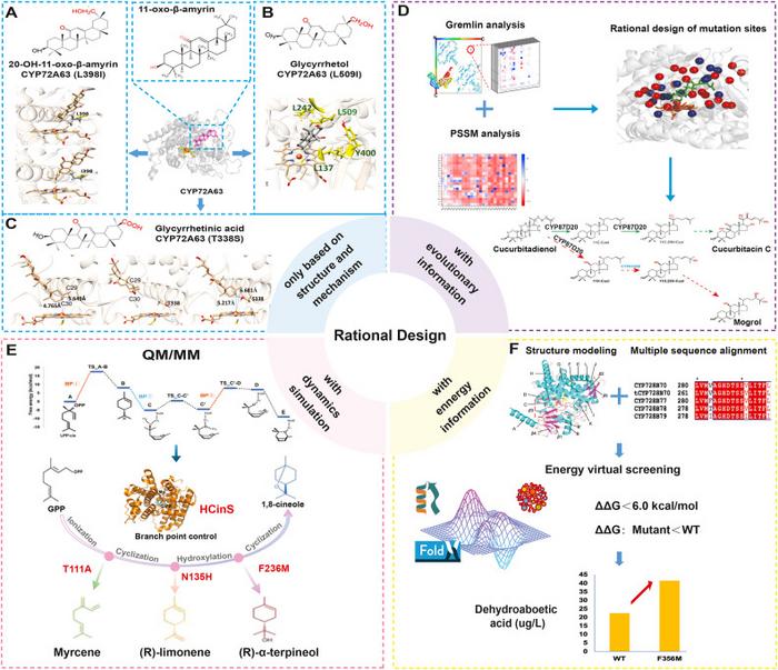 Figure 4. Pipelines for different strategies by rational design.