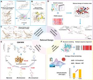Figure 4. Pipelines for different strategies by rational design.