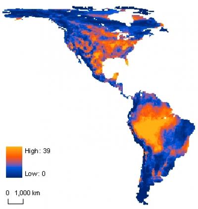 Western Hemisphere Mammals