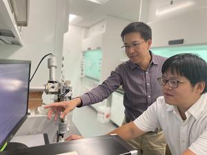 Linlin Zhao and Yu Hsuan Chen