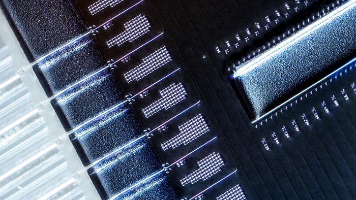 Microscope image showing connections between an optical microchip (right) and optical fibers (left) using 3D-printed photonic optical bridges. (Photo: Deutscher Zukunftspreis / Ansgar Pudenz)