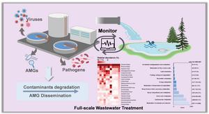 Decoding pathogen-virus-metabolic gene networks in full-scale wastewater treatment: from virus diversity to hosts interaction