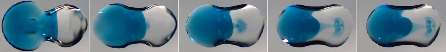 Image 1 from underneath Showing How Droplets Interact