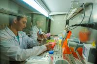 FEFU School of biomedicine lab
