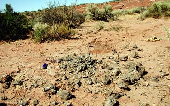 Titanosaur Egg Fossils
