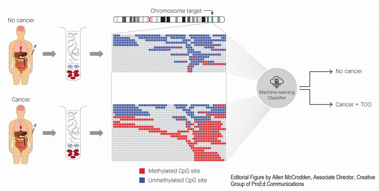 Identification of Cancer Status for More Than 50 Cancer Types, as Well as Tissue of Origin Localizat