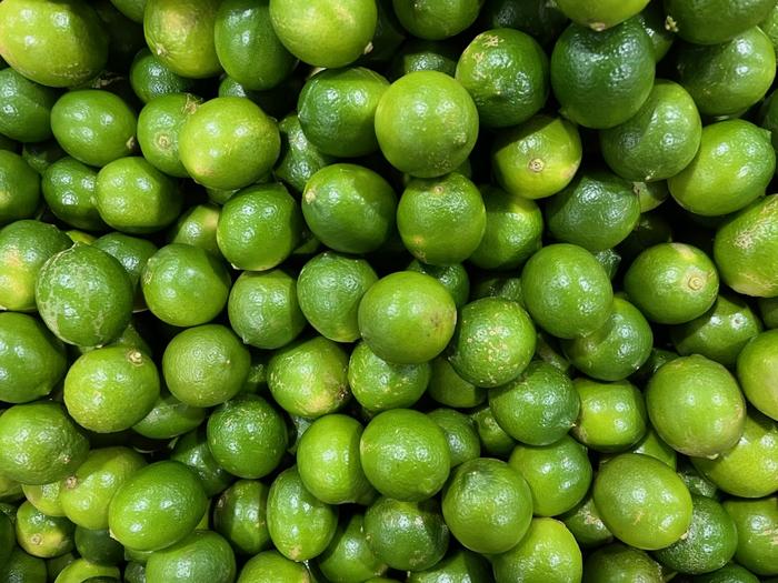 Persian Limes