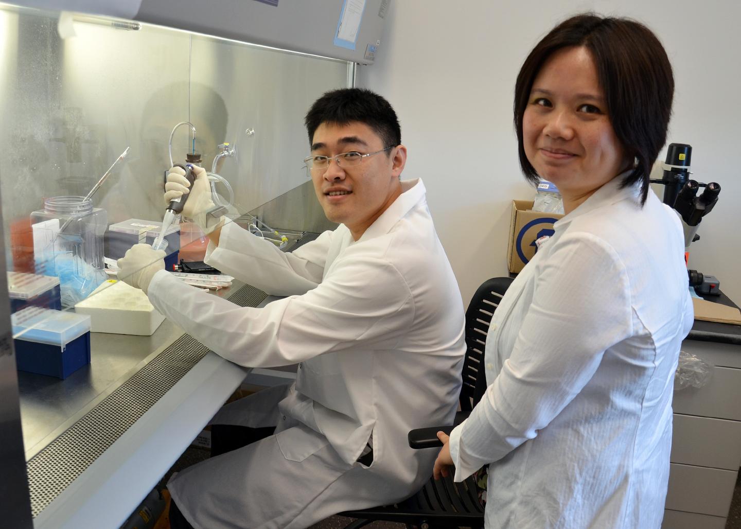 Immunology Researchers