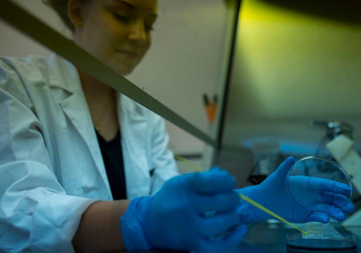 <i>Legionella clemsonensis:</i> Novel Strain Named by Clemson Undergrads (1 of 2)
