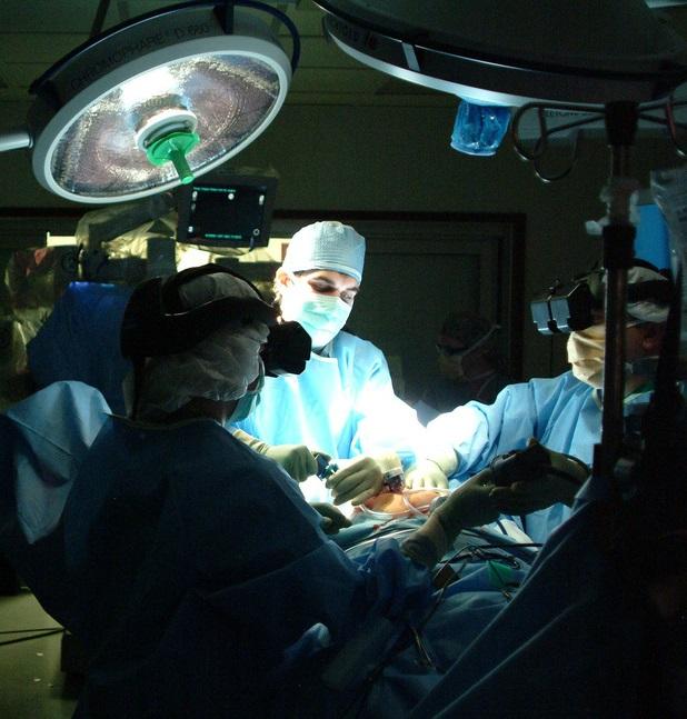 Exposing Newborn Mice to General Anesthetic Disrupts Brain Development